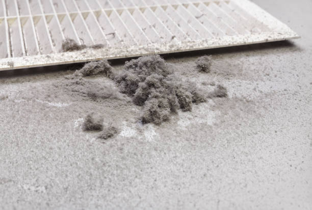 Best Local Air Duct Cleaning Services  in Princeton, MO
