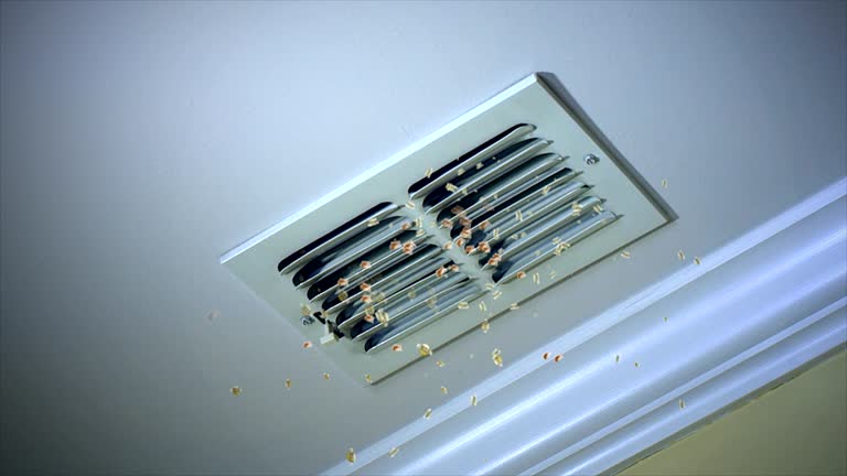 Best Home Air Vent Cleaning  in Princeton, MO