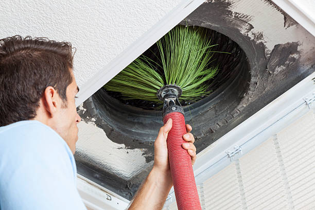 Best HVAC Maintenance and Cleaning  in Princeton, MO
